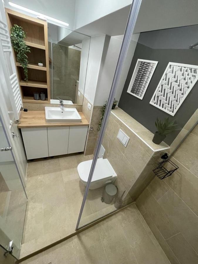 Palas Loft Iasi Exteriör bild